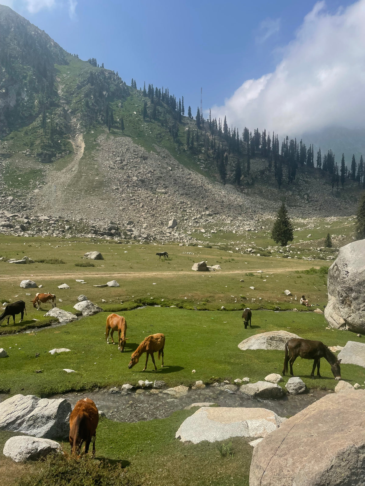 Trip to Kumrat valley